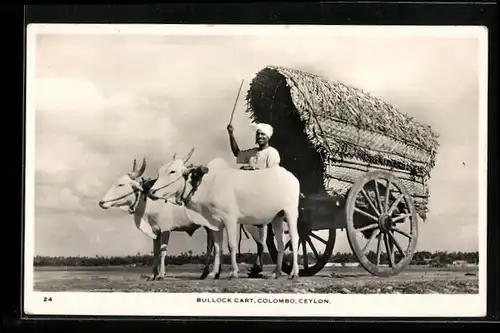 AK Colombo, Inder in einem Bullock Cart
