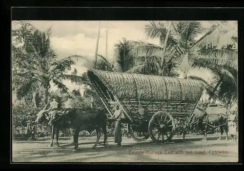 AK Colombo, Double Bullock Cart with full Load