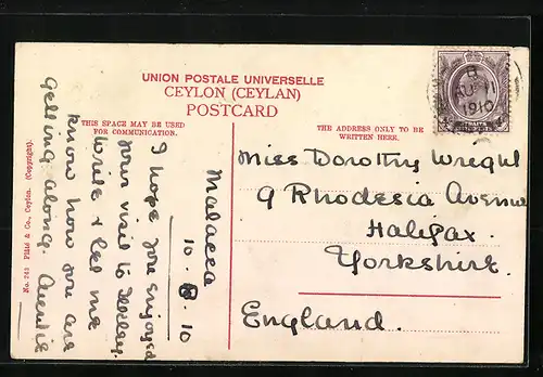 AK Colombo, Double Bullock Cart with full Load