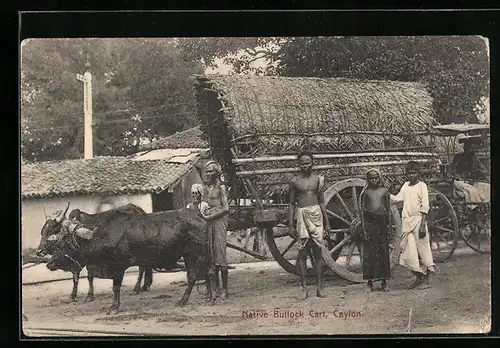 AK Ceylon, Native Bullock Cart