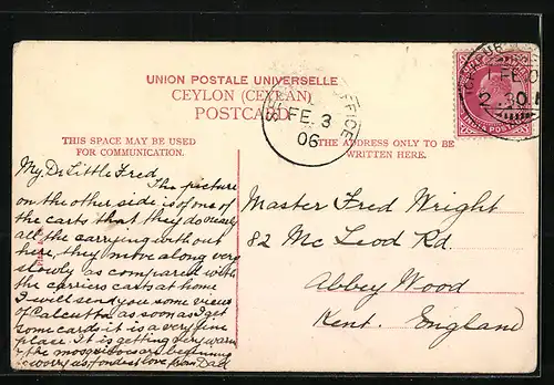 AK Ceylon, Native Bullock Cart