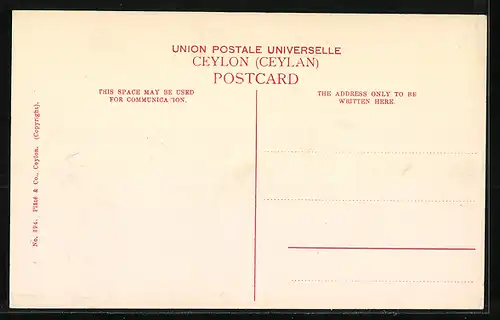 AK Kandy, Around the Lake