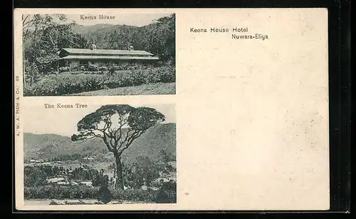 AK Nuwara-Eliya, Keena House Hotel, Keena Tree