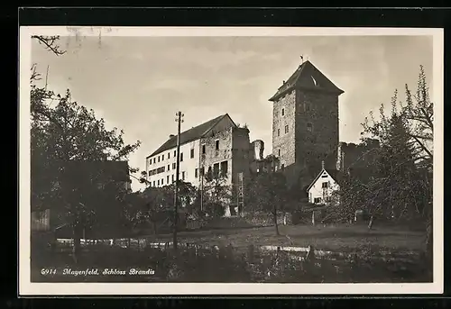 AK Mayenfeld, Schloss Brandis