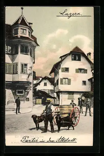 AK Luzern, Strassenpartie mit Zughunden