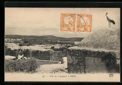 AK Beja, Nid de Cigognes