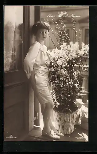 AK Prinz Albrecht mit Blumenkübel