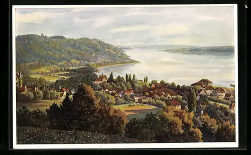 Künstler-AK Vinzenz Marschall: Ludwigshafen /Bodensee, Ortsansicht mit Seeblick von oben