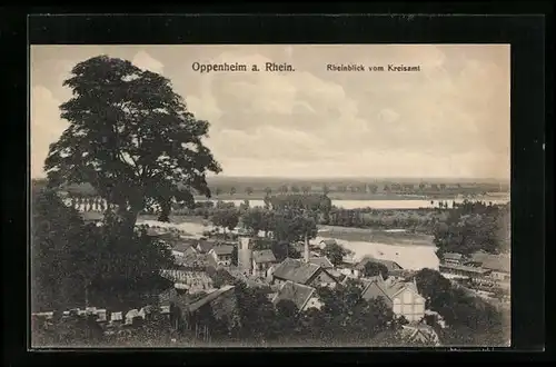 AK Oppenheim a. Rhein, Rheinblick vom Kreisamt