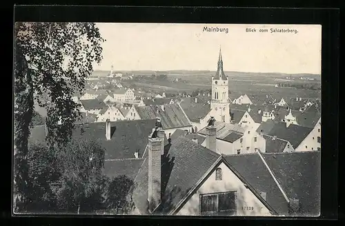 AK Mainburg, Blick vom Salvatorberg