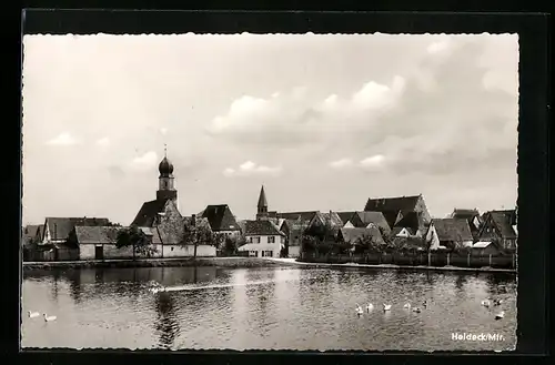 AK Heideck /Mfr., Ortsansicht mit Schwänen am Wasser