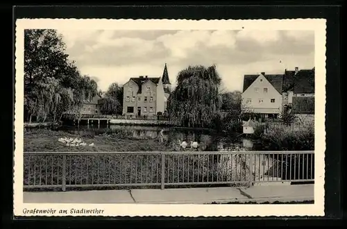 AK Grafenwöhr /Opf., Schwäne am Stadtweiher