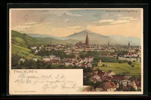 Lithographie Freiburg, Panorama mit den Bergen im Hintergrund
