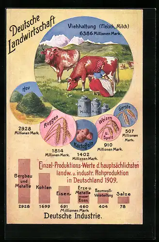 AK Deutsche Landwirtschaft, Viehhaltung, Einzel-Produktionswerte 1909