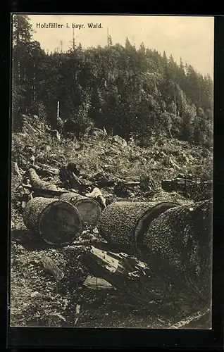 AK Holzfäller im Bayrischen Wald, Forstwirtschaft