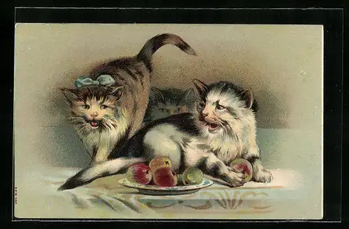 Präge-AK Drei Katzen mit einem Apfelteller