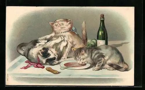 AK Drei Katzen spielen und naschen auf einem Tisch mit Resten