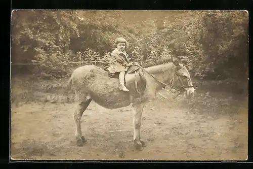 Foto-AK Kleines Mädchen auf dem Rücken eines Maultieres