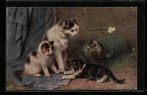 Künstler-AK Katzenmutter und drei Welpen mit Schmetterling