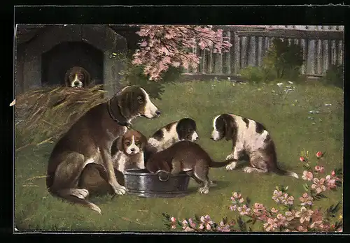 AK Jagdhund mit Welpen vor der Hundehütte