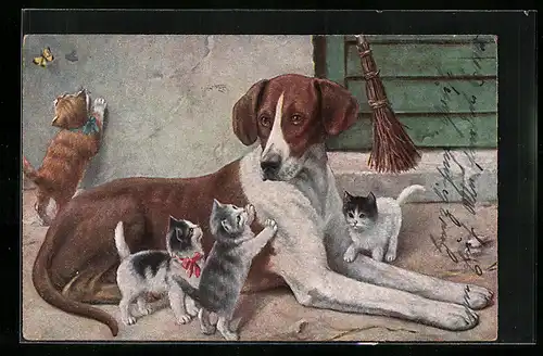 AK Jagdhund mit verspielten Katzenwelpen, Schmetterling