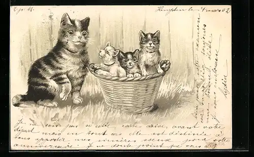 Lithographie Katze mit Jungen in Körbchen