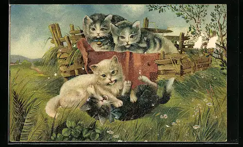 AK Vier kleine Katzen beim Spielen auf einer Wiese