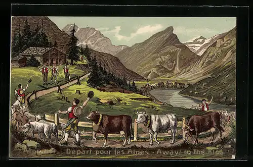 AK Alpfahrt, Ankunft des Viehs auf der Sommerweide