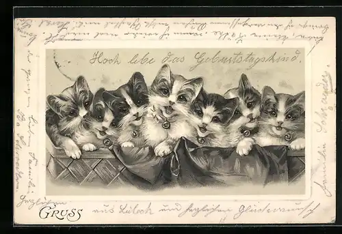 AK Sieben kleine Katzen mit Glöckchen um den Hals
