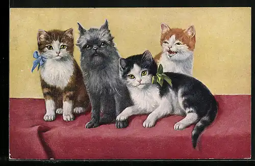AK Drei Katzen mit kleinem Hund