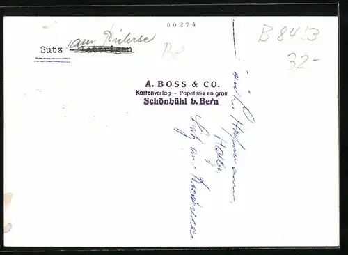 Fotografie A. Boss & Co., Schönbühl, Ansicht Sutz, Fliegeraufnahme