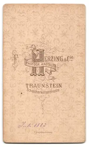 Fotografie F. Herzing & Co., Traunstein, kleines Kind mit Spielzeug Pferd, 1882