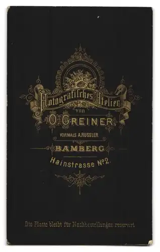 Fotografie O. Greiner, Bamberg, älterer Herr im Anzug mit buschigem Vollbart