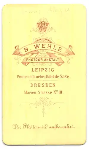 Fotografie B. Wehle, Leipzig, Portrait Hans Mayer mit geflegtem Vollbart