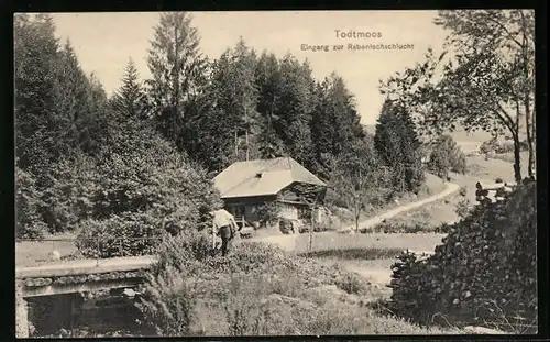 AK Todtmoos, Eingang zur Rabenlochschlucht