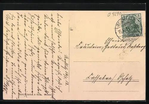 AK Rochlitz i. Sa., Partie an der Mulde