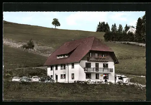 AK Todtnauberg, Haus Elisabeth im Luftkurort