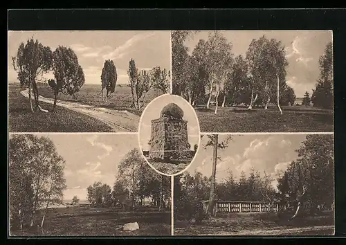 AK Müden a. Oertze, der Lönsstein und seine Umgebung