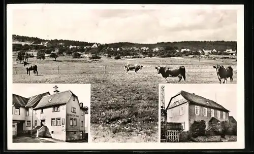 AK Rod am Berg /Ts., Gasthaus zum Taunus / Jugendheim, Ortspanorama mit Kühen