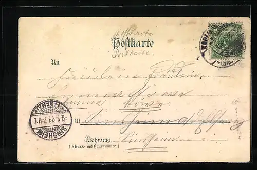 Lithographie Karlsruhe, Panorama, Marktplatz und Hoftheater