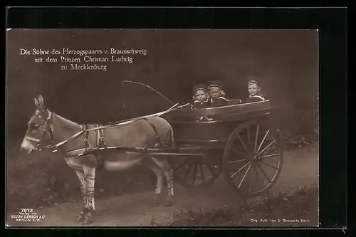 AK Die Söhne des Herzogpaares von Braunschweig mit Prinz Christian Ludwig zu Mecklenburg in einer Eselskutsche