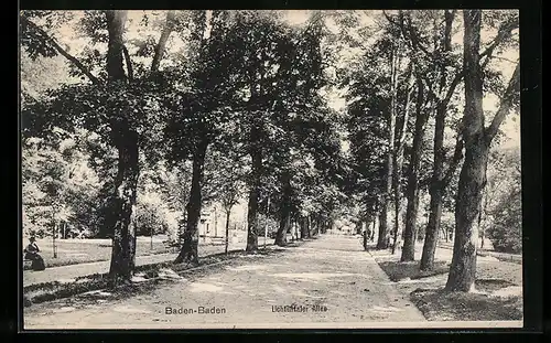 AK Baden-Baden, Partie in der Lichtentaler Allee