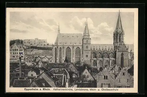 AK Oppenheim a. Rhein, Katharinenkirche, Landskrone, Wein- u. Obstbauschule