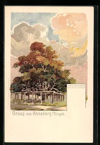 Lithographie Annaberg i.Erz., Linde auf dem Friedhof