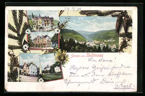 AK Todtmoos, Panorama, Gebäudeansichten