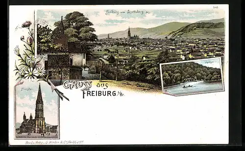 Lithographie Freiburg, Panorama vom Lorettaberg aus, Waldsee, Münster