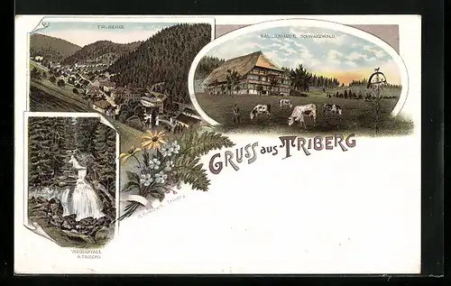 Lithographie Triberg, Bauernhaus Schwarzwald, Wasserfall und Ortsansicht