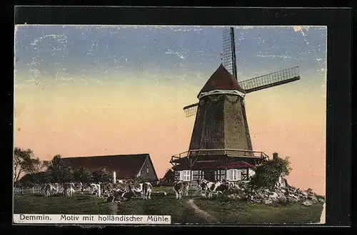 AK Demmin, Haus, Kühe und holländische Mühle