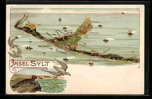 Lithographie Sylt, Ortsansicht mit Keitum, Archsum und Morsum, Seerobben und Möwe