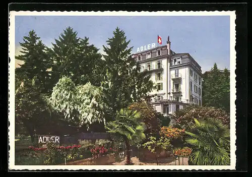 AK Lugano, Adler Hotel & Erica Schweizerhof